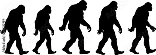 Bigfoot, Sasquatch , forest legend, humanoid,  walking vector bundle