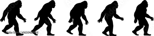 Bigfoot, Sasquatch , forest legend, humanoid,  walking vector bundle
