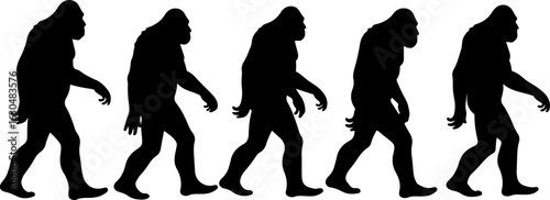 Bigfoot, Sasquatch , forest legend, humanoid,  walking vector bundle