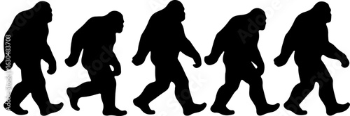 Bigfoot, Sasquatch , forest legend, humanoid,  walking vector bundle