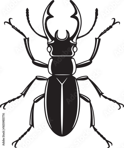 Stag Beetle Entomology Vector Illustration