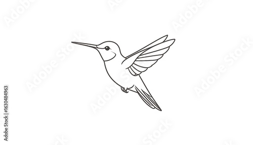 Wallpaper Mural Flying hummingbird outline Torontodigital.ca