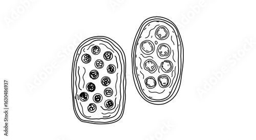 Hand drawn pizza illustration featuring pepperoni and cheese for food blog and recipe website design