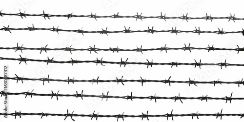 Multiple horizontal rows of barbed wire against a white background
