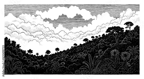 Beautiful Rainforest Landscape Above Cloudsky Black and White Outline Line Art Drawing