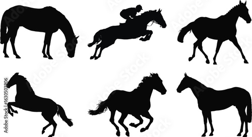 Horse silhouette vector set featuring various horse poses including running, jumping, grazing, and standing, perfect for equestrian and animal design projects.