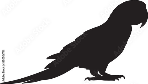 Red and Green Macaw Solid Vector Silhouette
