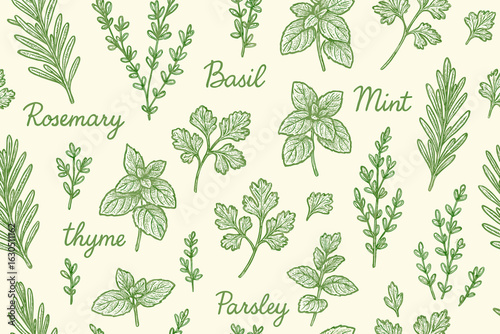 Herbs and botanicals displayed in a vintage illustration style on a light background highlighting their natural beauty and diversity