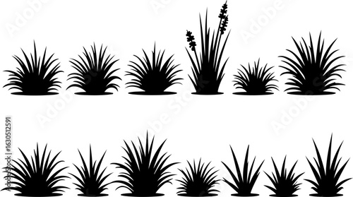 "Silhouette Grass Borders Collection" vector bundle