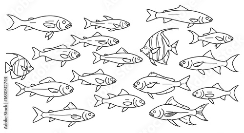 Collection of fish line art vector illustration for coloring pages and educational resources for kids and adults