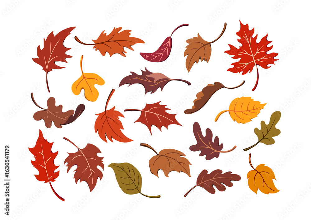 Obraz premium Set of Autumn Falling Leaves of various shapes drawn in a colorful and whimsical style with an animated look. Illustrated Fall foliage set isolated for use in designs and decorations