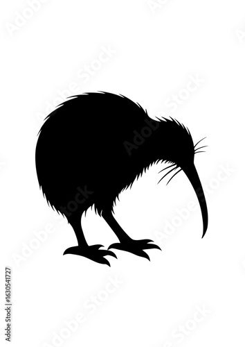 Silhouette of a Kiwi Bird
