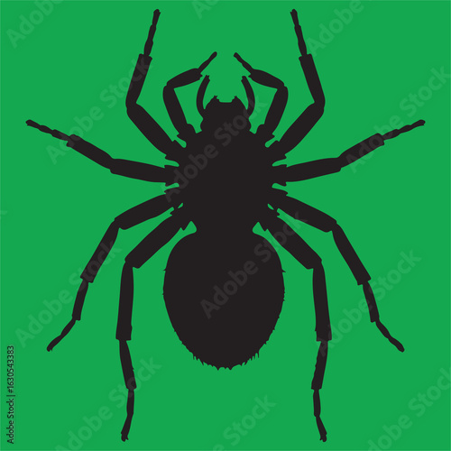 Spider silhouette on green background arachnid illustration black spider with eight legs isolated graphic Halloween design creepy crawly vector illustration