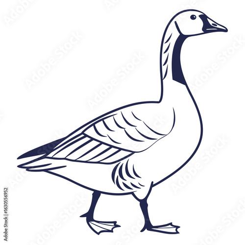 A duck vector illustration with a white background.