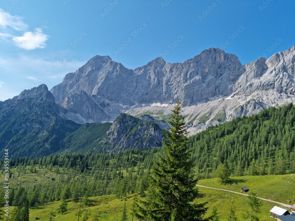 Fototapeta premium Majestic Alpine Scenery with Lush Forest and Towering Mountains