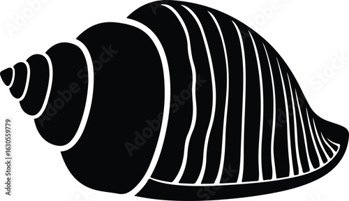 A simple black and white illustration of a seashell with a spiral shape commonly found on the beach