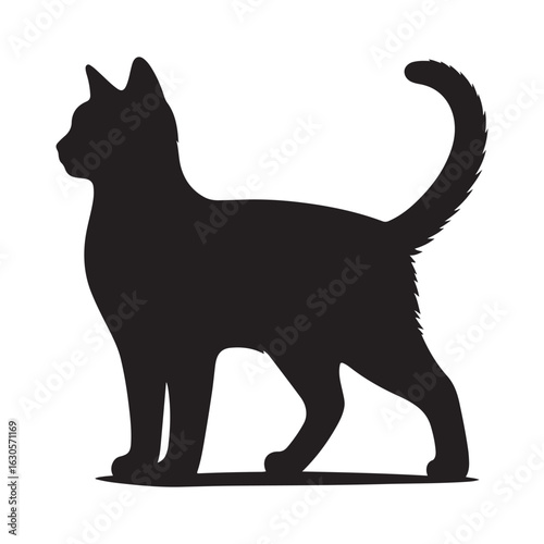 Elegant black silhouette of a cat sitting and looking to the side
