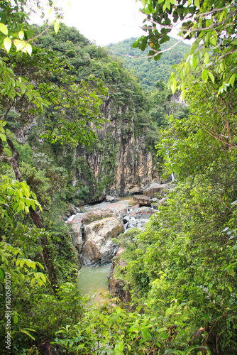 waterfall in the forest