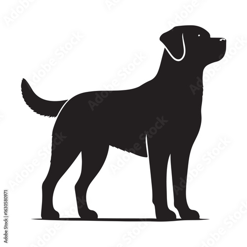 Artistic silhouette of a loyal dog perfect for pet themed designs and branding