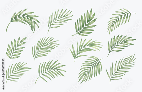 Watercolor palm leaves bundle, botanical palm leaves.