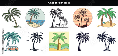 Collection of California Palm Trees and Tropical Beach Scenes