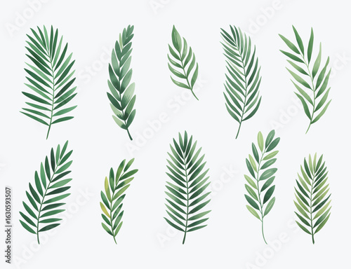 Watercolor palm leaves bundle, botanical palm leaves.