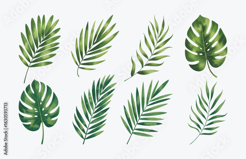 Watercolor palm leaves bundle, botanical palm leaves.