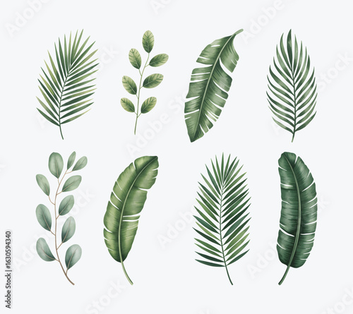 Botanical leaf collection with watercolor palm and banana leaves.
