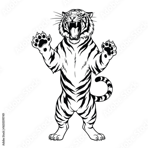 Vector art of fierce tiger standing on hind legs isolated on white background