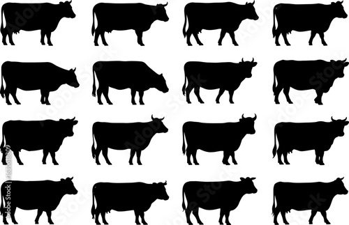 Collection of black cow silhouettes in various poses isolated on white background