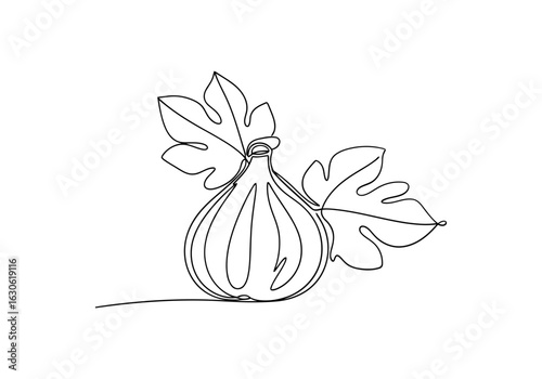 Vector art of single line drawing of a ripe fig with leaves on isolated background