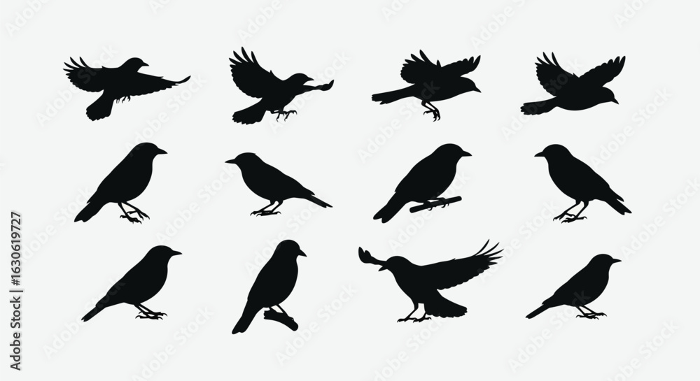 Obraz premium Silhouette Symphony: A Collection of Black Bird Silhouettes in Flight and Perched, Captivating Bird Silhouettes for Graphic Design and Artistic Compositions