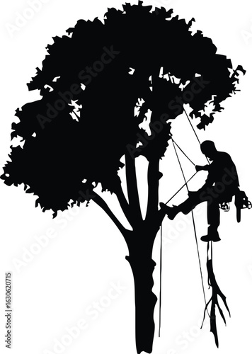 Print Vector art of silhouette of an arborist climbing a tree with safety equipment and tools