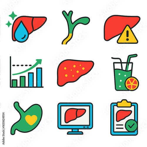Liver Health Icons. Flat vector icons of liver and bile health: liver cleanse icon, bile duct flow, bile stone warning, enzyme