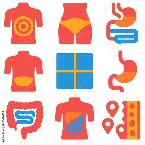 Vibrant Abdominal Anatomy Icons. Flat vector icons of abdominal anatomy and zones: abdominal pain map, lower belly area icon,