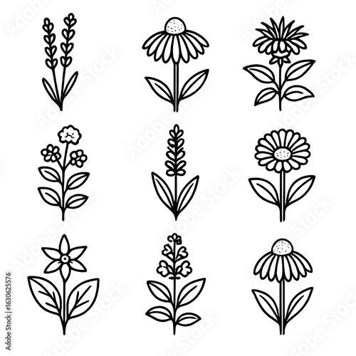 Pollinator-Friendly Plant Icons. Line style icons of pollinator-friendly plants: lavender, coneflower, bee balm, marjoram, salvia,