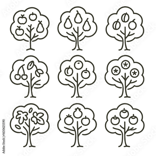 Fruit Tree Icons. Line style icons of fruit trees for gardens: apple tree, pear tree, plum tree, cherry tree, apricot tree, citrus