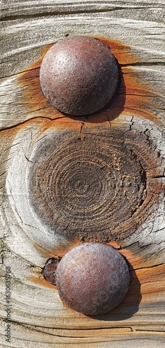 Close-up of rusty bolts embedded in aged wooden planks with visible growth rings and weathered cracks, creating a natural industrial texture background