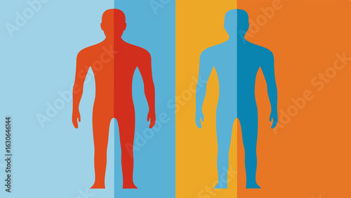 Dual Image Comparison Two sidebyside silhouettes the left in neutral color and the right in a thermal color scheme highlighting temperature differences in various body parts.