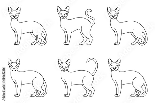 Oriental shorthair cat breed line art vector illustration seamless pattern pet animal drawing design