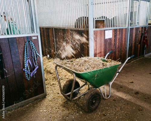 Rural Stable Scene with Green Wheelbarrow Filled with Fresh Hay and Tack Hanging in Horse Barn Stalls for Equestrian and Farm Life Atmosphere