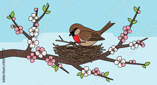 Springtime Nestling: Robin Perched Among Blossom Branches and Newly Built Nest