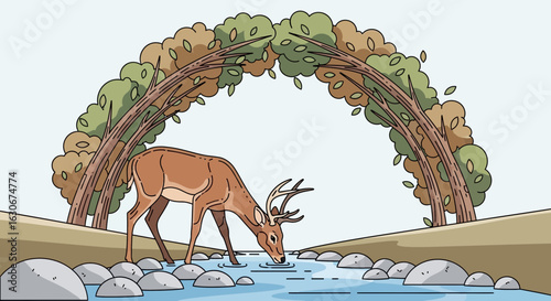 Graceful Deer Drinking From Clear Stream Surrounded By Autumnal Canopy
