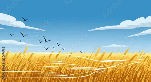 Golden Wheat Field Under Clear Blue Sky With Flying Birds