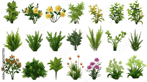 Various types of flowers grass bushes shrub.png