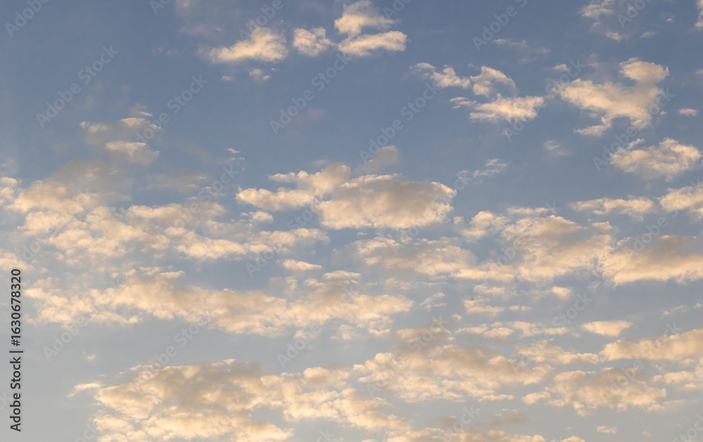 Obraz premium Golden-hued clouds scattered across a soft blue sky during sunrise or sunset