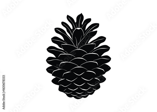 Pine cone silhouette black vector white background