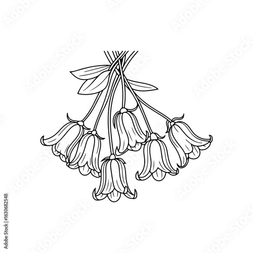 A bundle of  realistic Vector flower icons  black on a white background with showing bluebells hanging.