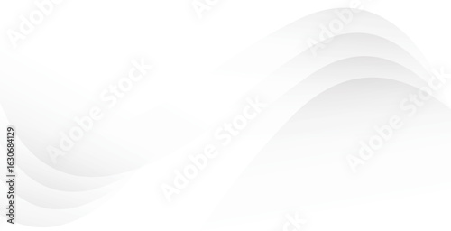 White Gradient Wave Background with Soft Abstract Curves

