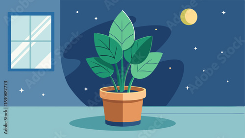 A large potted plant adding a touch of greenery to the space.
